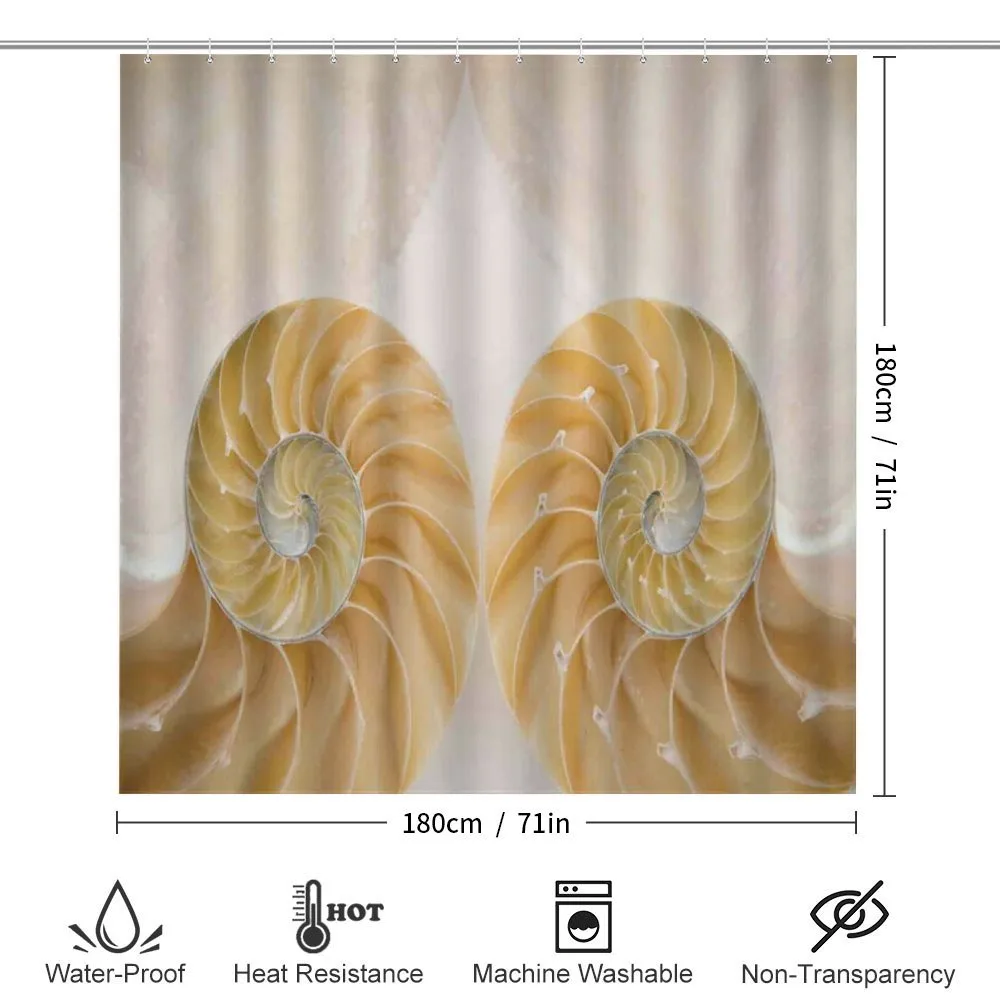 Symmetrical Seashells — Detail 2