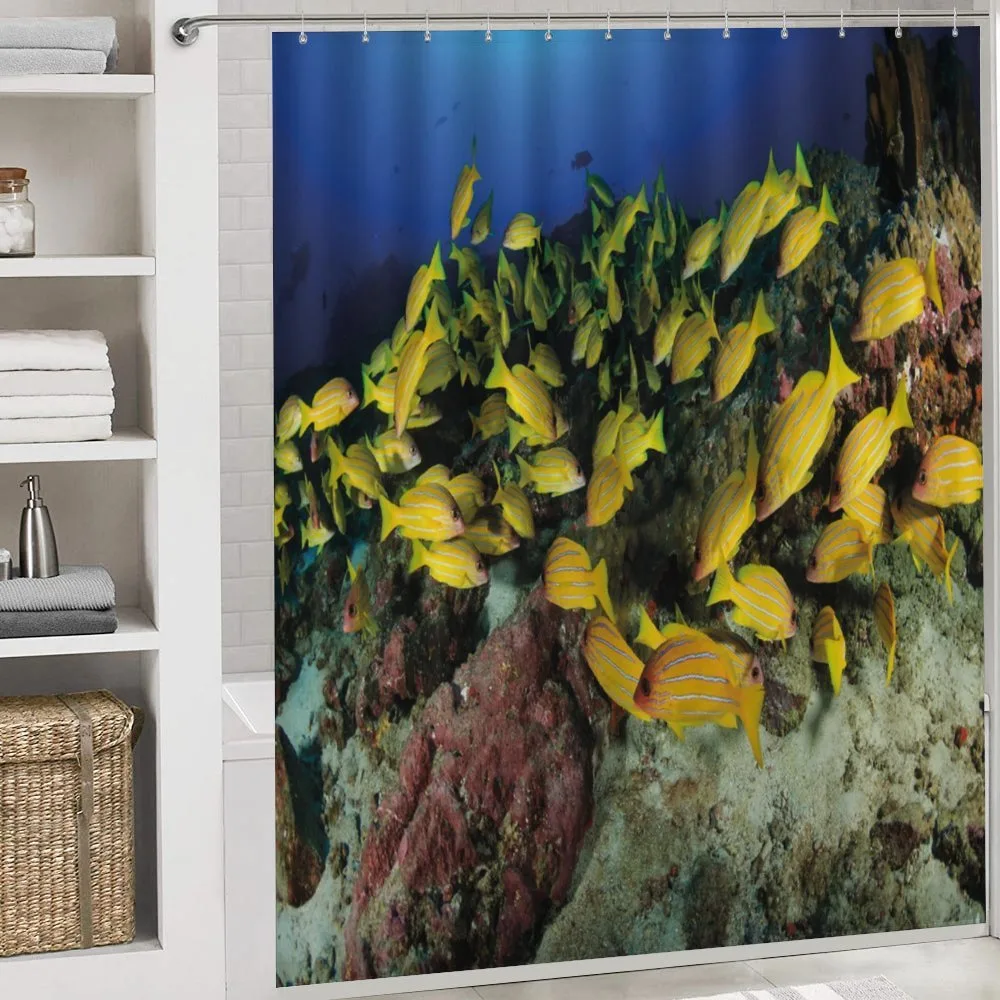 Tropical Fish Coral Reef — Detail 4