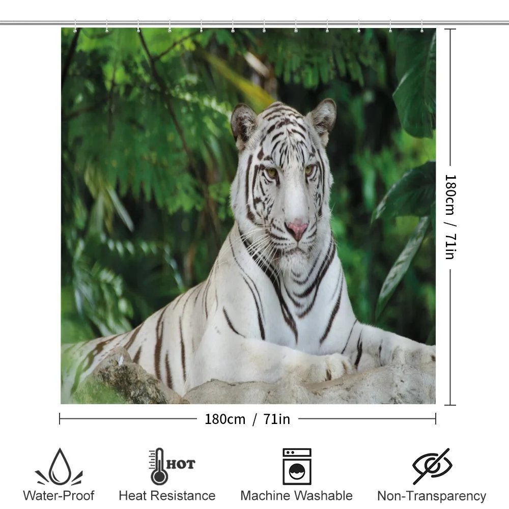 Albino Bengal Cat on Rock — Detail 2