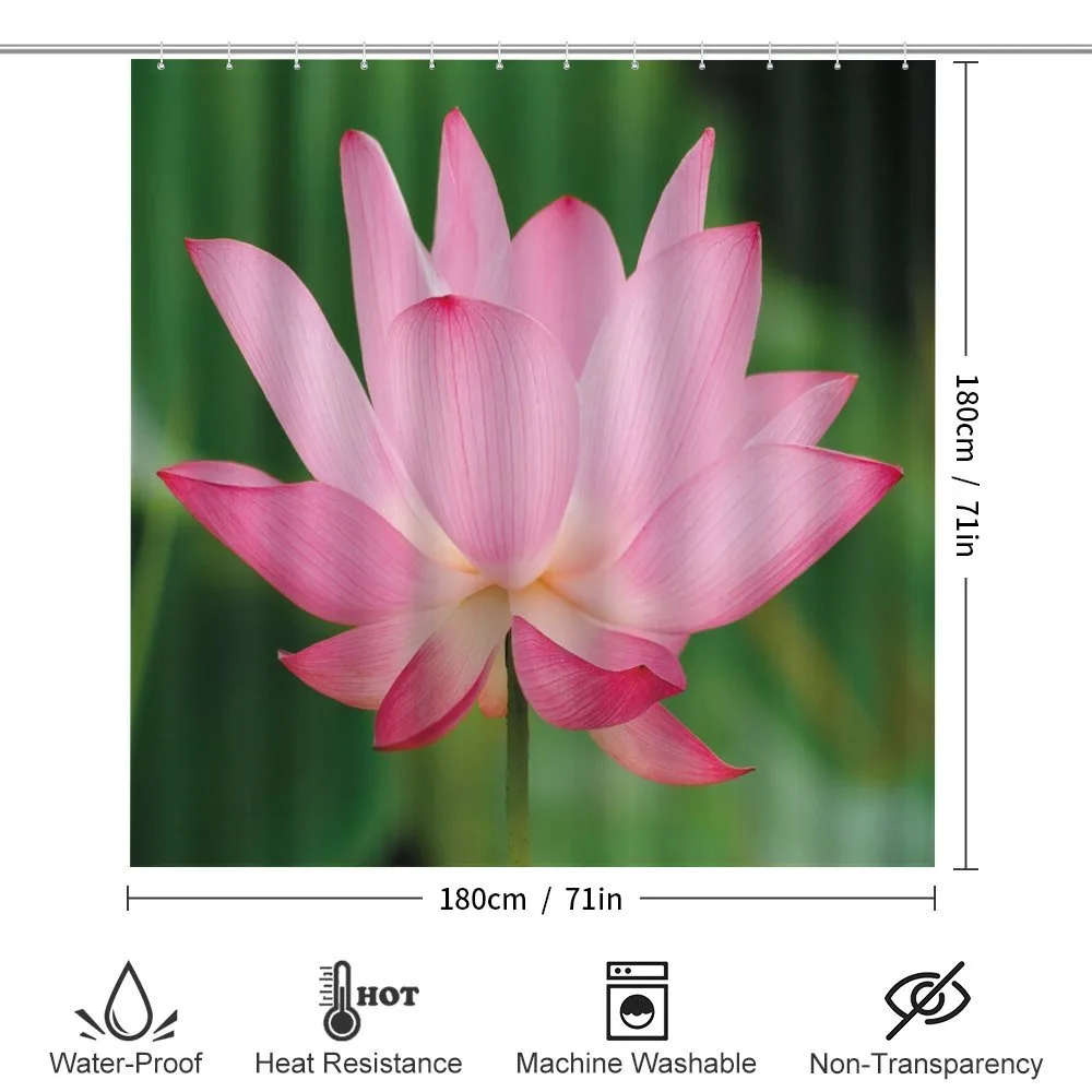 Lotus Lily Blossom — Detail 2