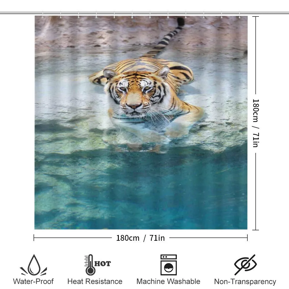 Bengal Tiger in Wild — Detail 2