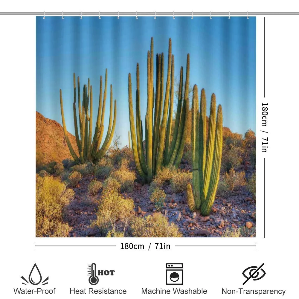 Mountain Cactus Photo — Detail 2