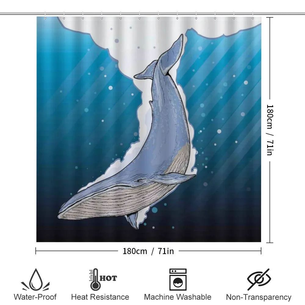Ocean Whale Fish Swims — Detail 2