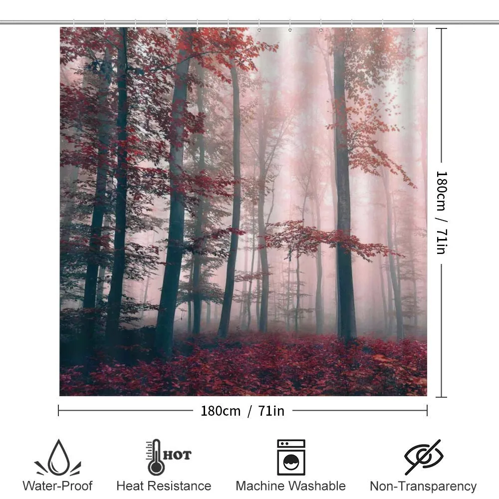 Autumn Fall Nature Woods — Detail 2