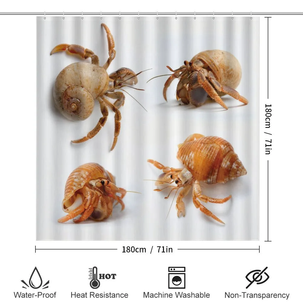 Hermit Crabs Pattern — Detail 2