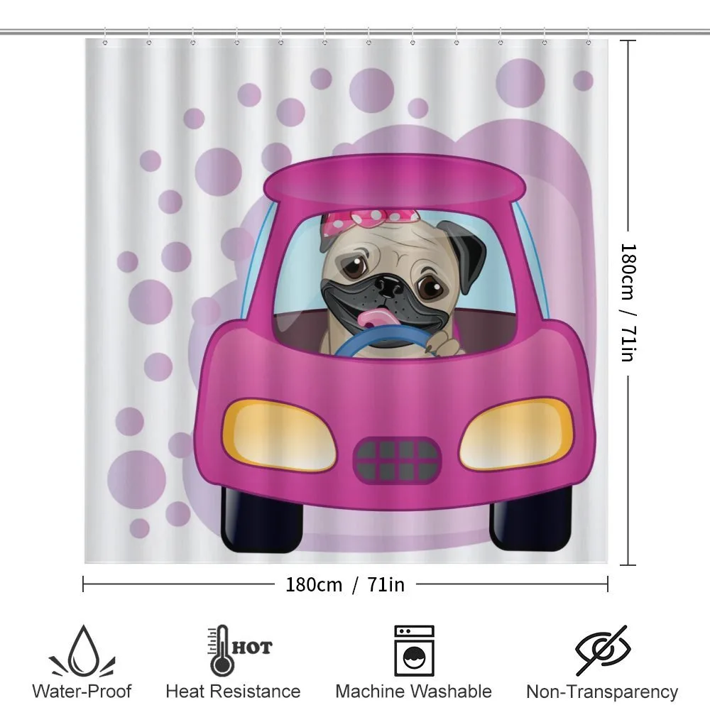 Dog Driving on Car — Detail 2