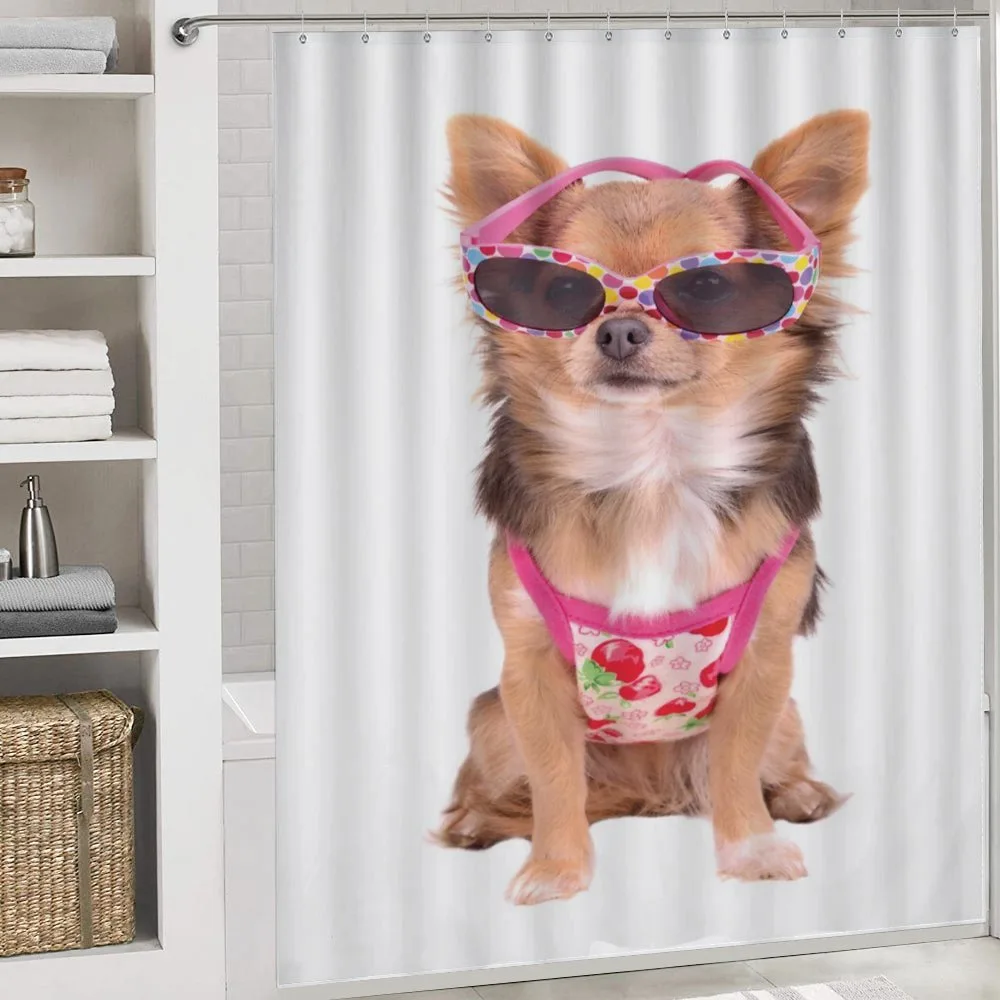 Puppy with Summer Clothes — Detail 4