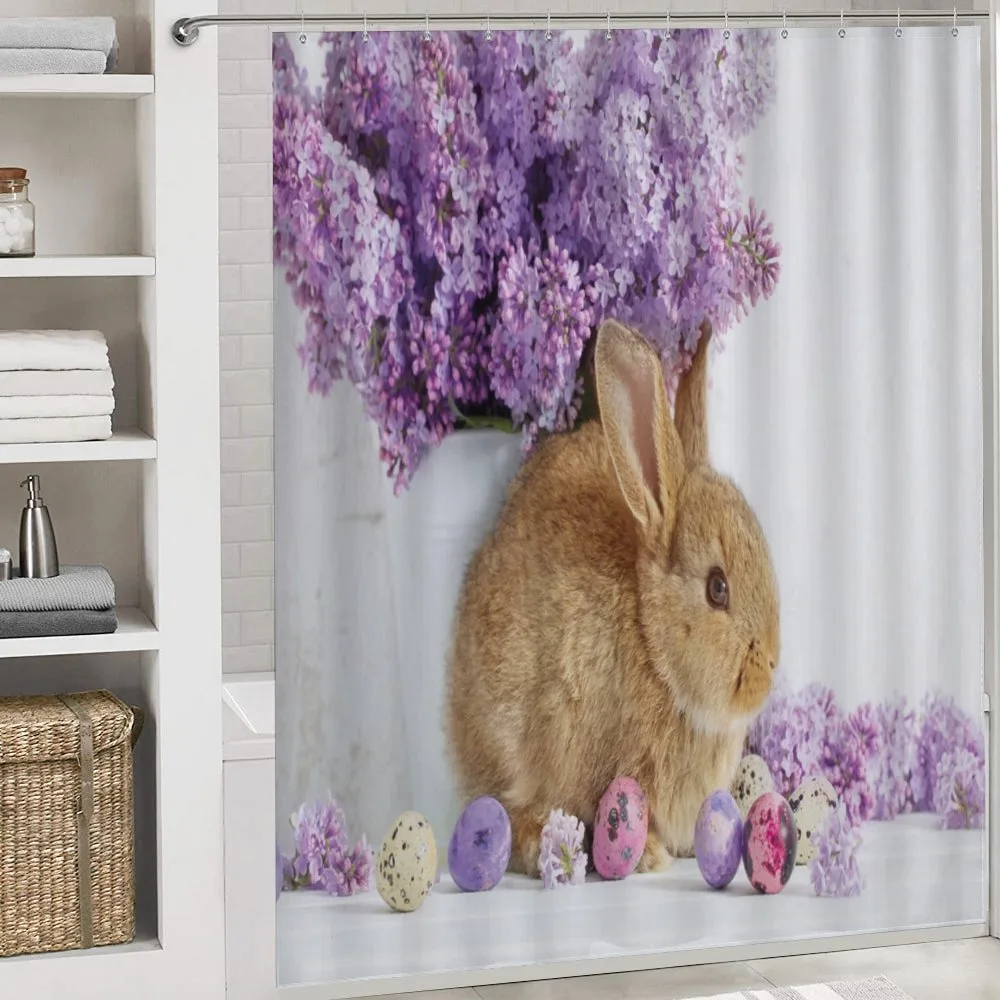 Rabbit Photo — Detail 4