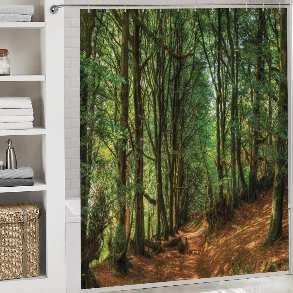 Woodland Pathway Scene — Detail 4