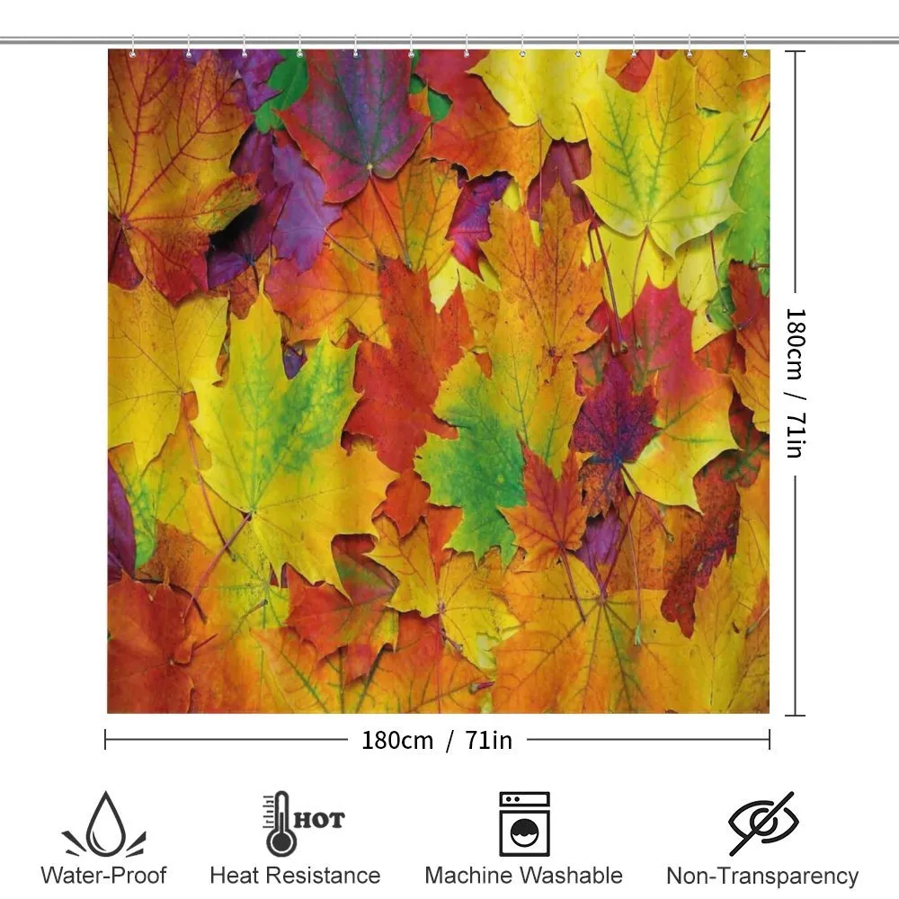 Colorful Maple Leaves — Detail 2