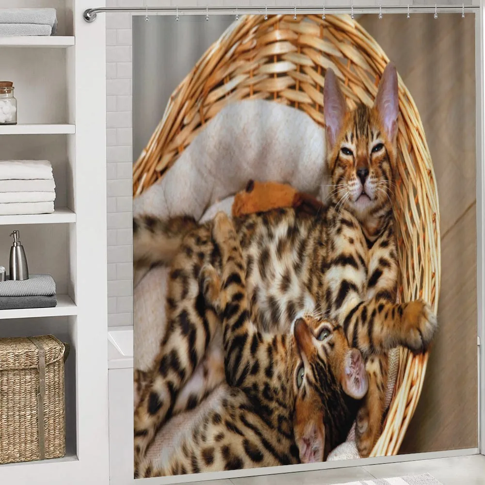 Bengal Cats in Basket — Detail 4