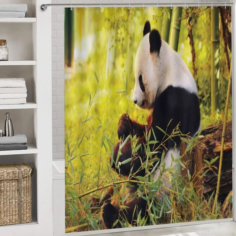 Panda Sitting in Forest — Detail 4