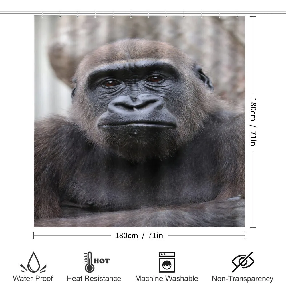 Close up Young Male Gorilla — Detail 2