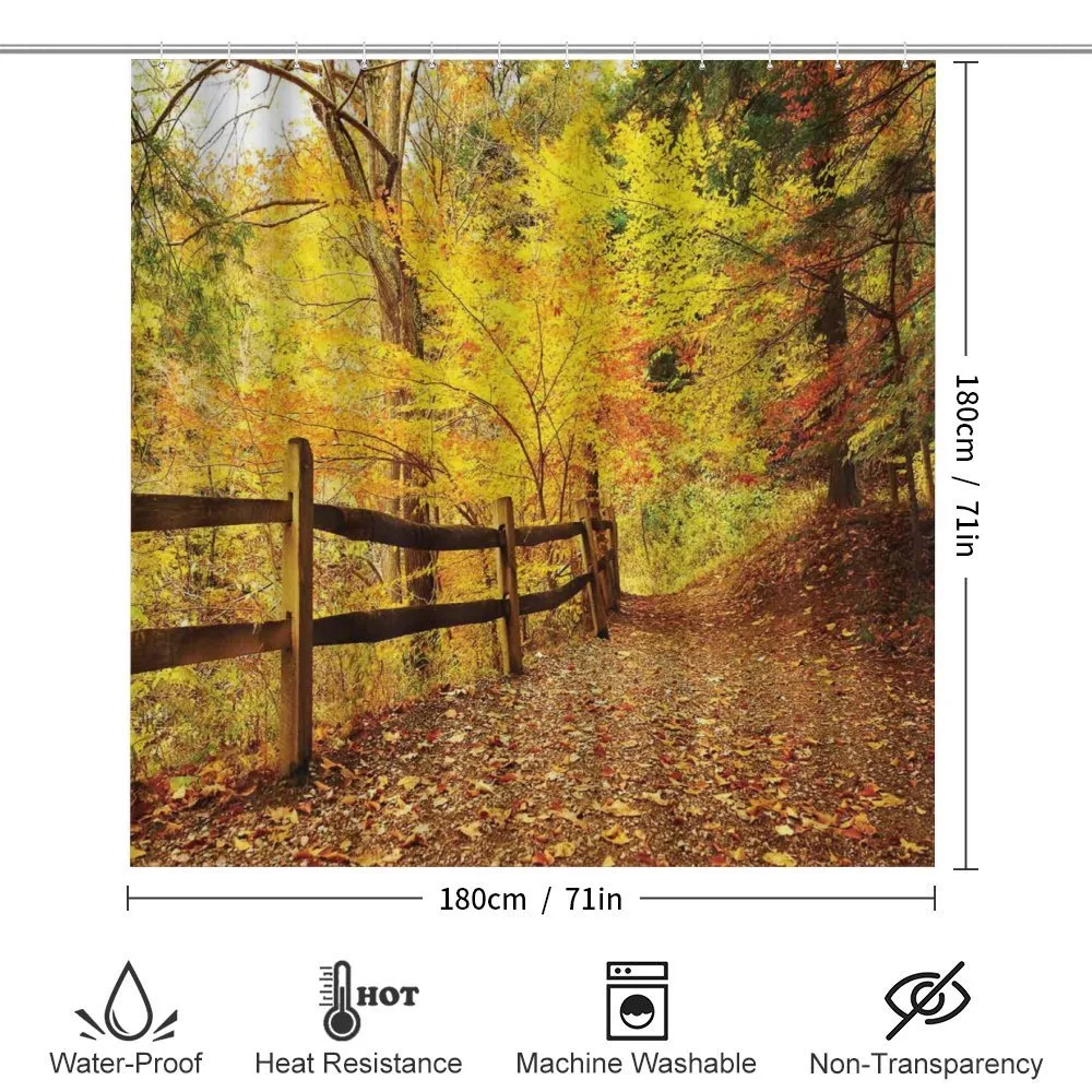 Fall Trees Leaf Road — Detail 2
