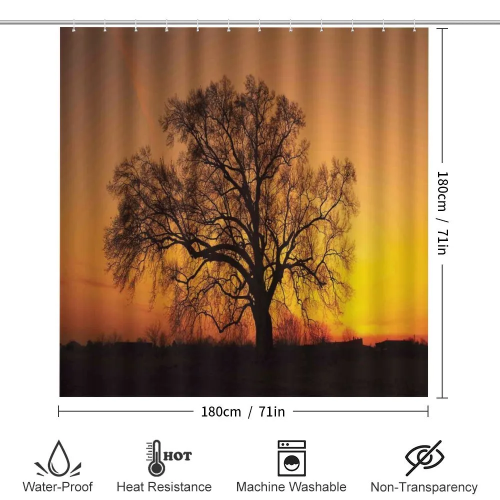 Old Oak at Sunset View — Detail 2