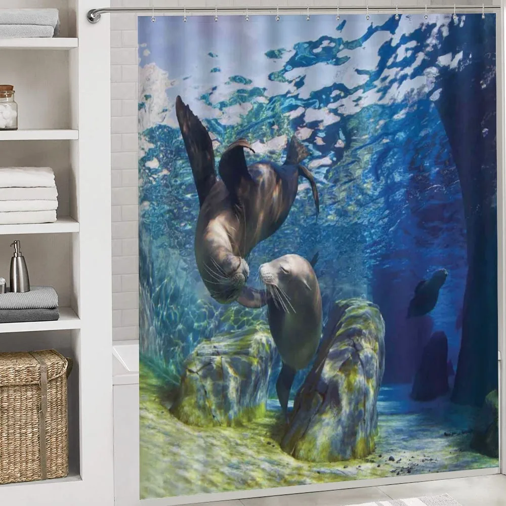 Playful Sea Lions — Detail 4