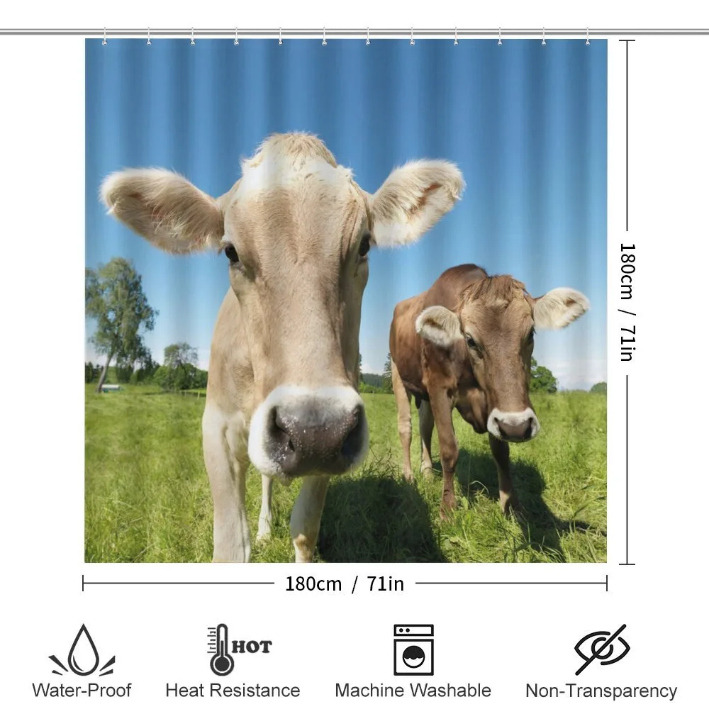 Close up Cows — Detail 2
