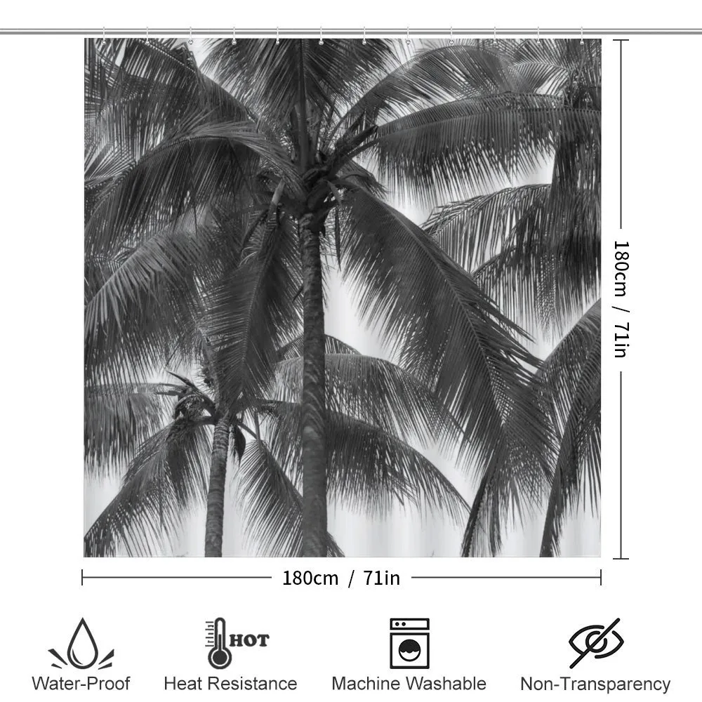Coconut Palms Tropical — Detail 2