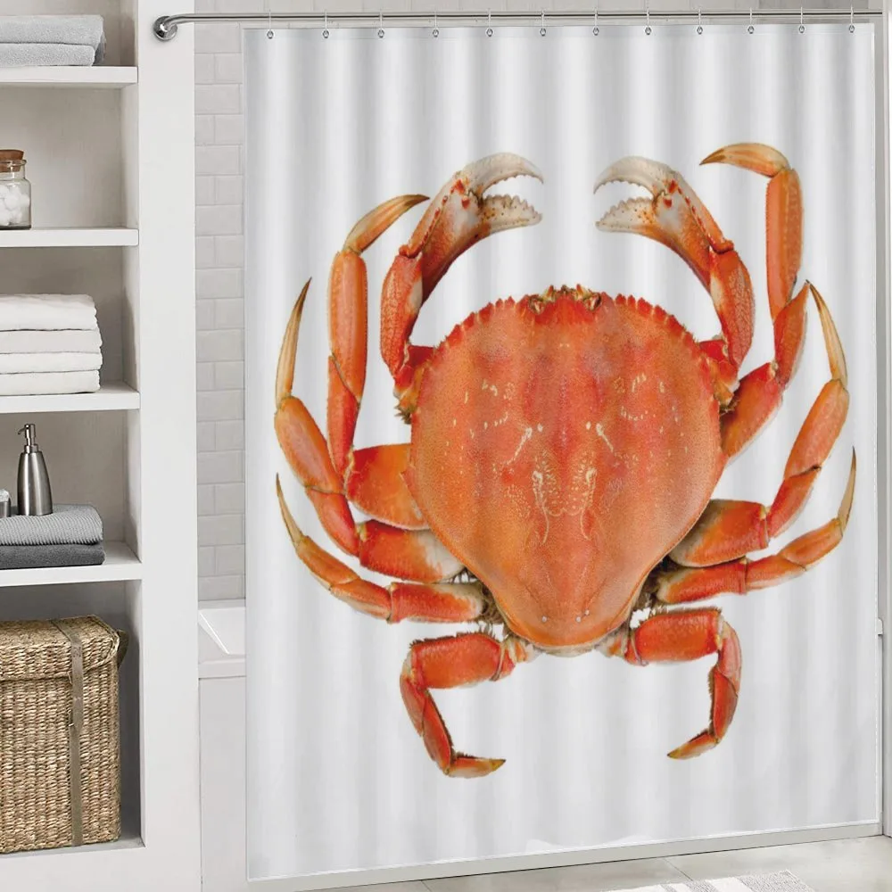 Cooked Dungeness Crab — Detail 4