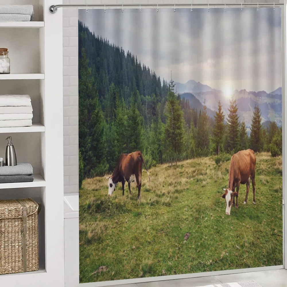 Cows Grazing in Meadow — Detail 4