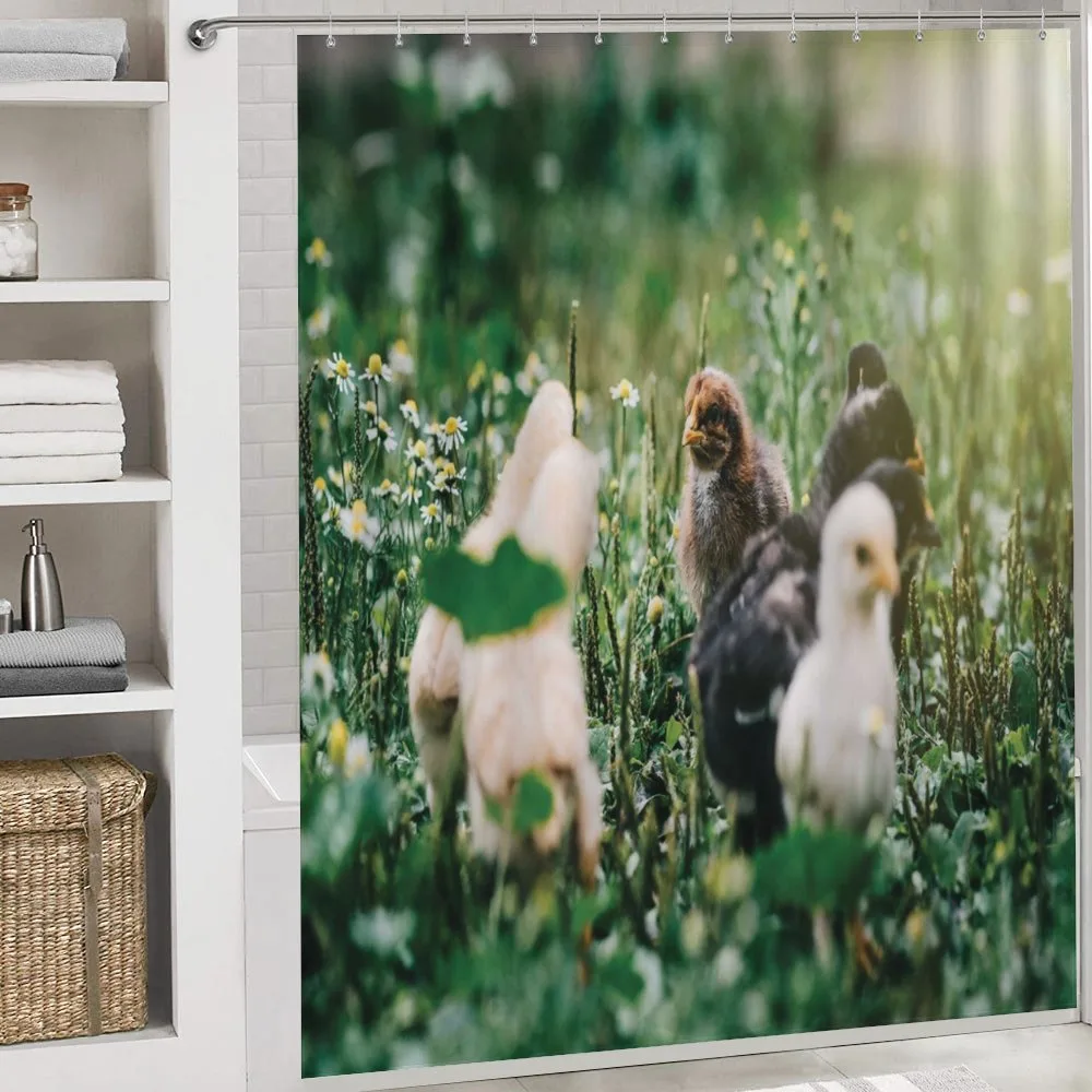 Little Chickens in Daisies — Detail 4