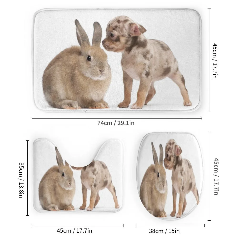 Chihuahua Puppy with Rabbit — Detail 1