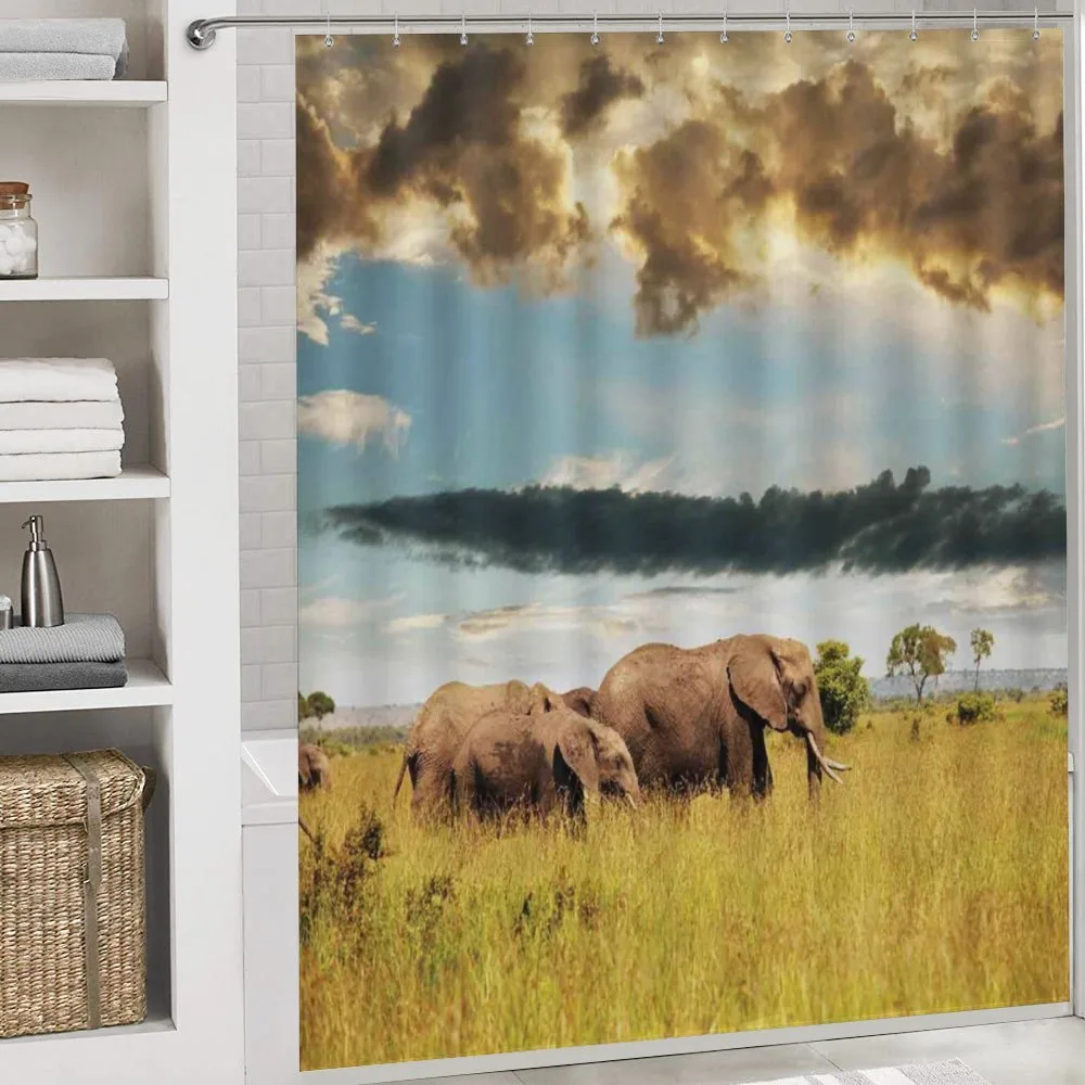 Elephant Family Photo — Detail 4