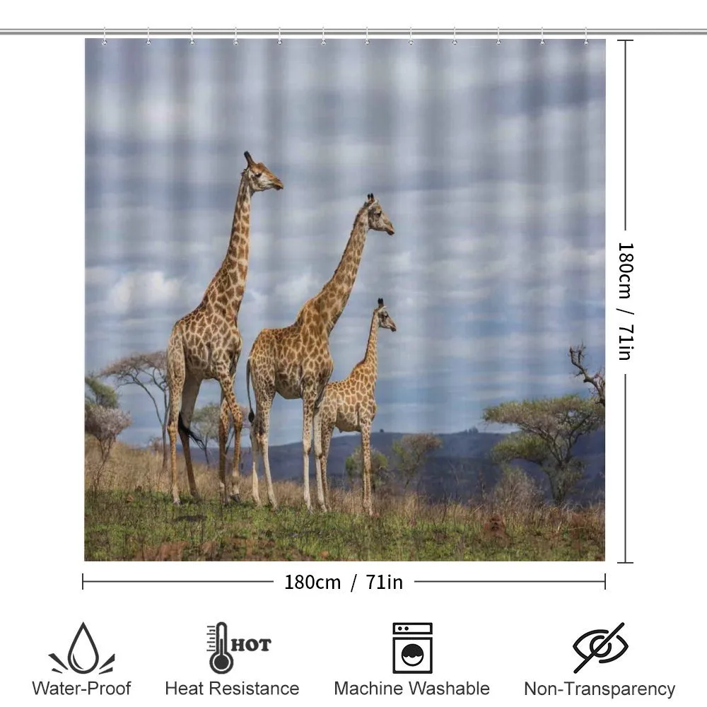 Giraffe Family — Detail 2