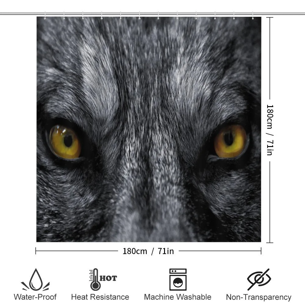 Wild Wolf Dangerous Mammal — Detail 2