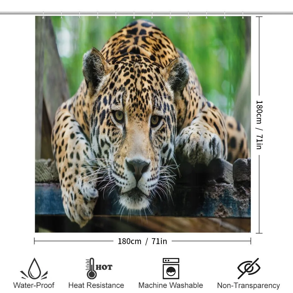 Jaguar Wildcat Feline — Detail 2