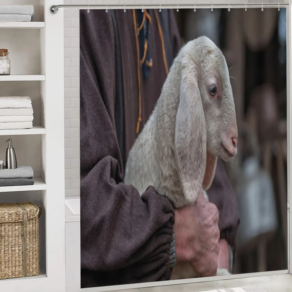 Baby Lamb Old Man — Detail 4