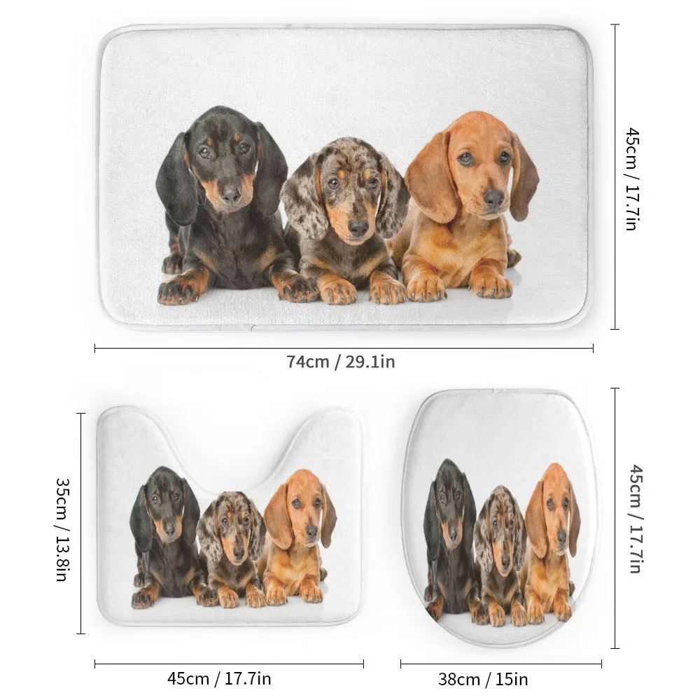Different Color Dogs Lays — Detail 1