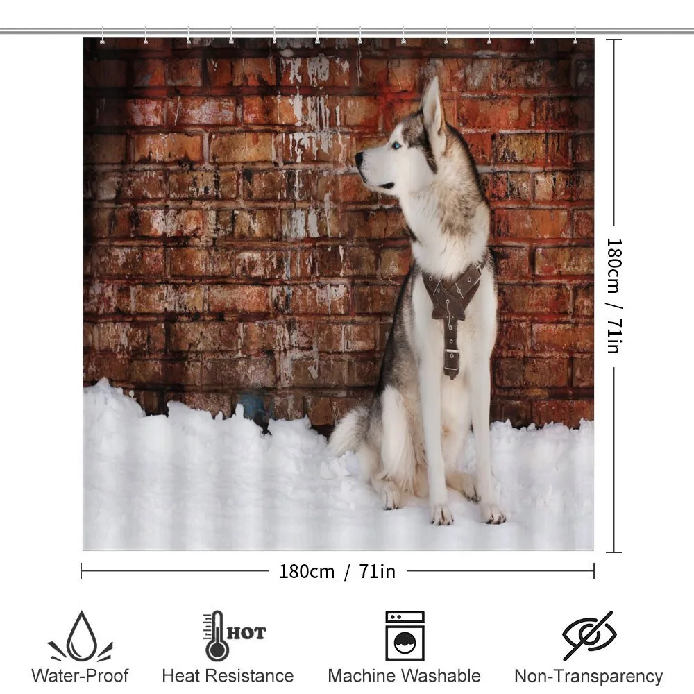 Domestic Pet — Detail 2