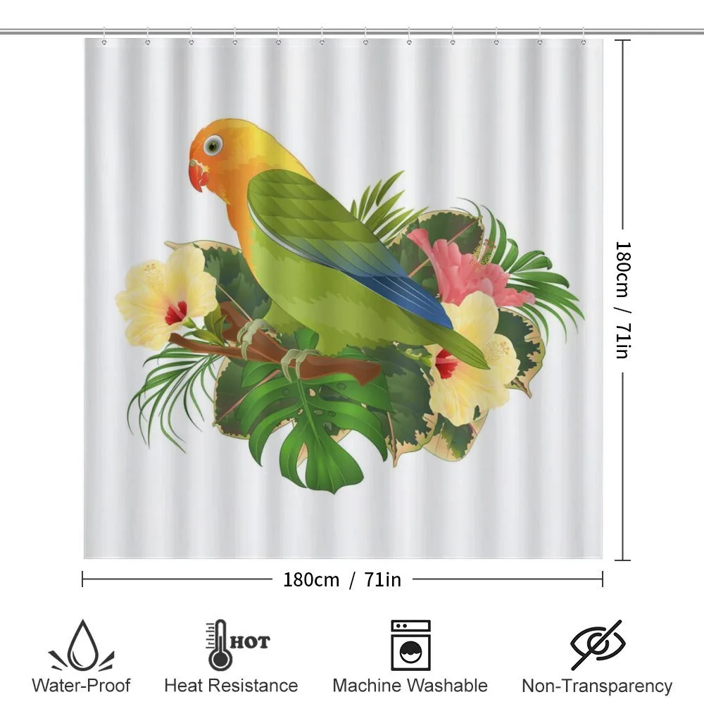 Exotic Agapornis Parrot — Detail 2