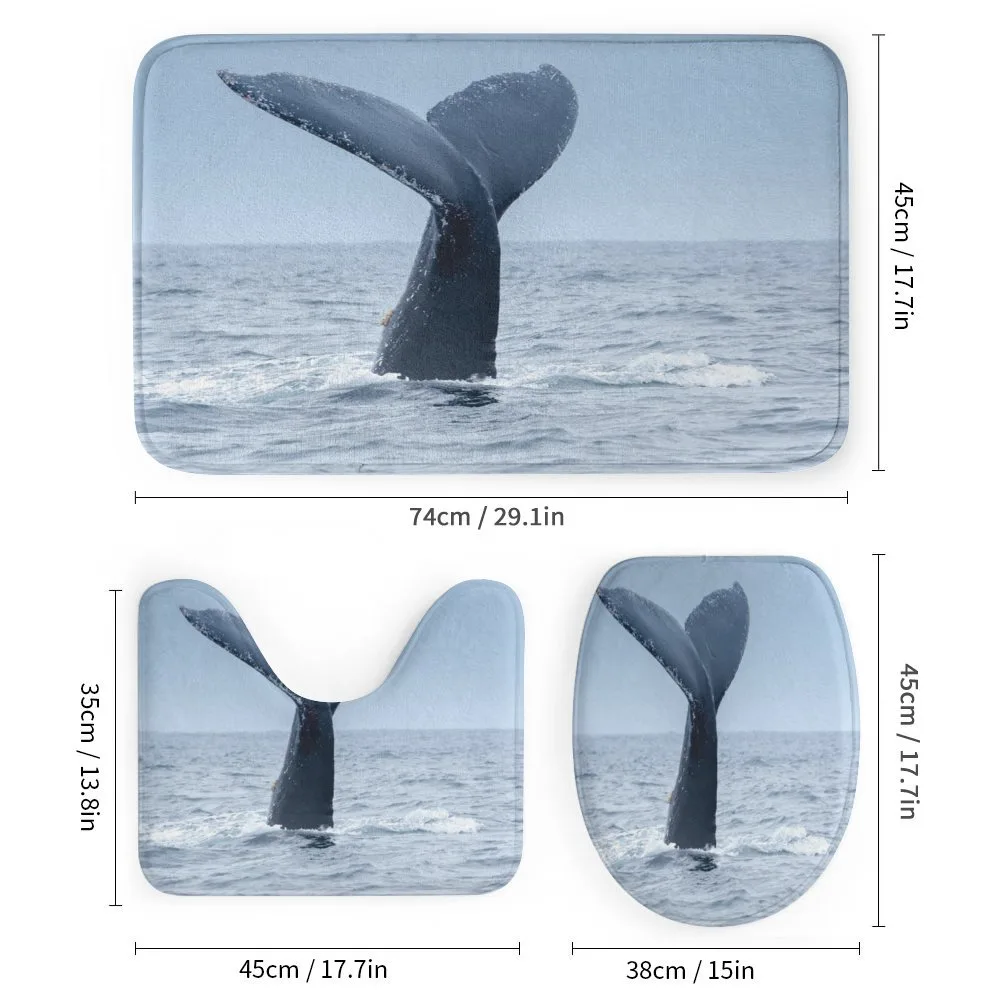 Whale Tail Puerto Lopez — Detail 1