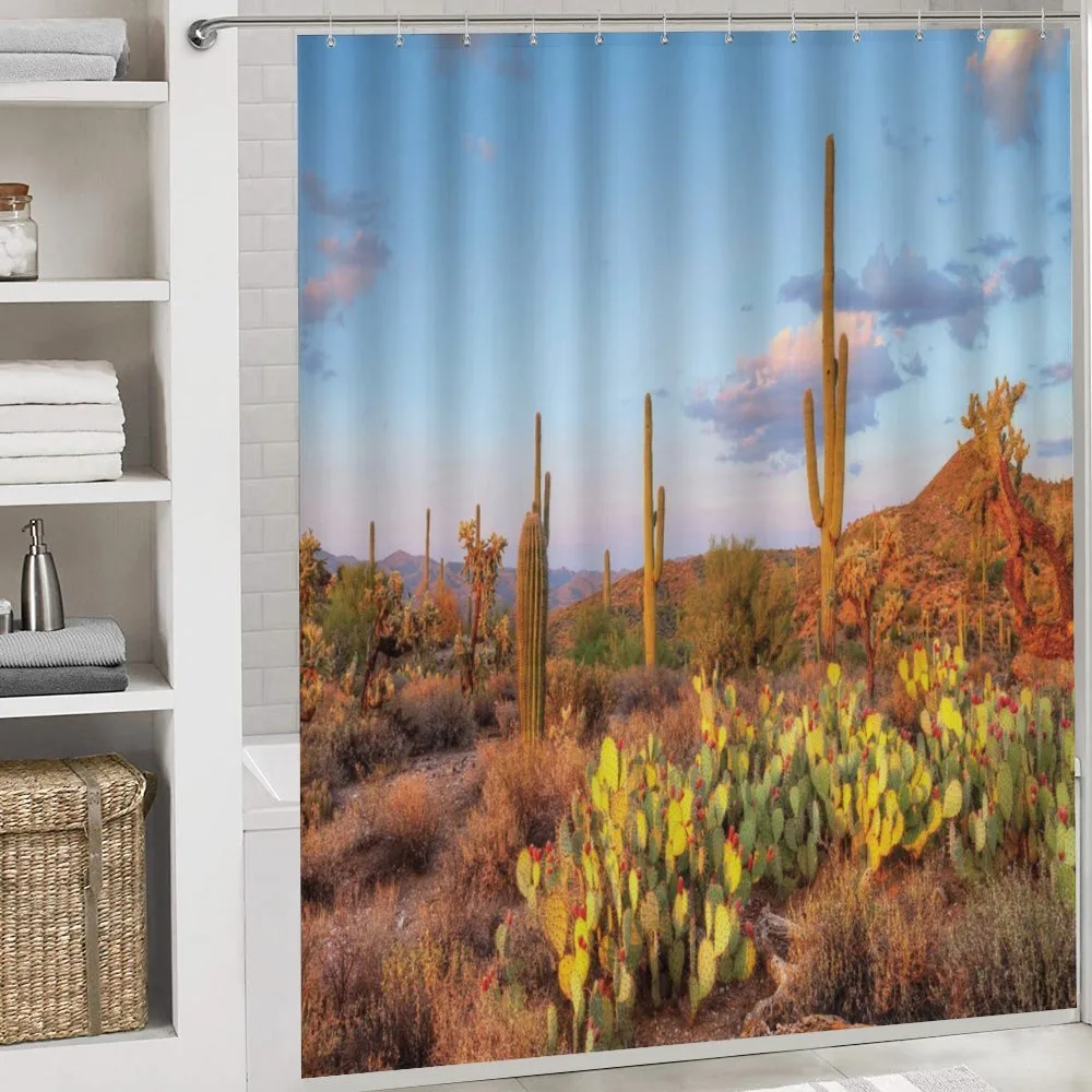 Cacti in Sonoran Desert — Detail 4