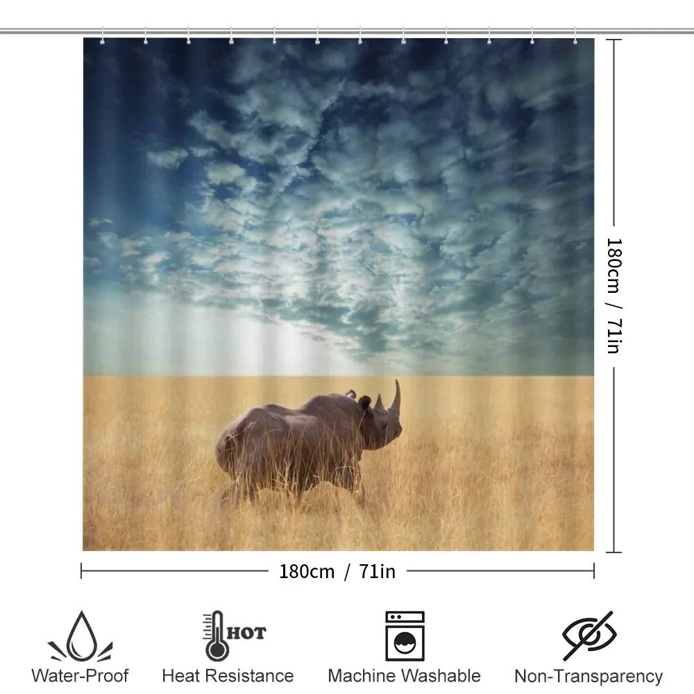 Rhino Dramatic Cloudy Sky — Detail 2