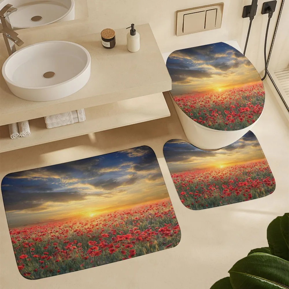 Scenic Field Sunset Sky — Detail 5