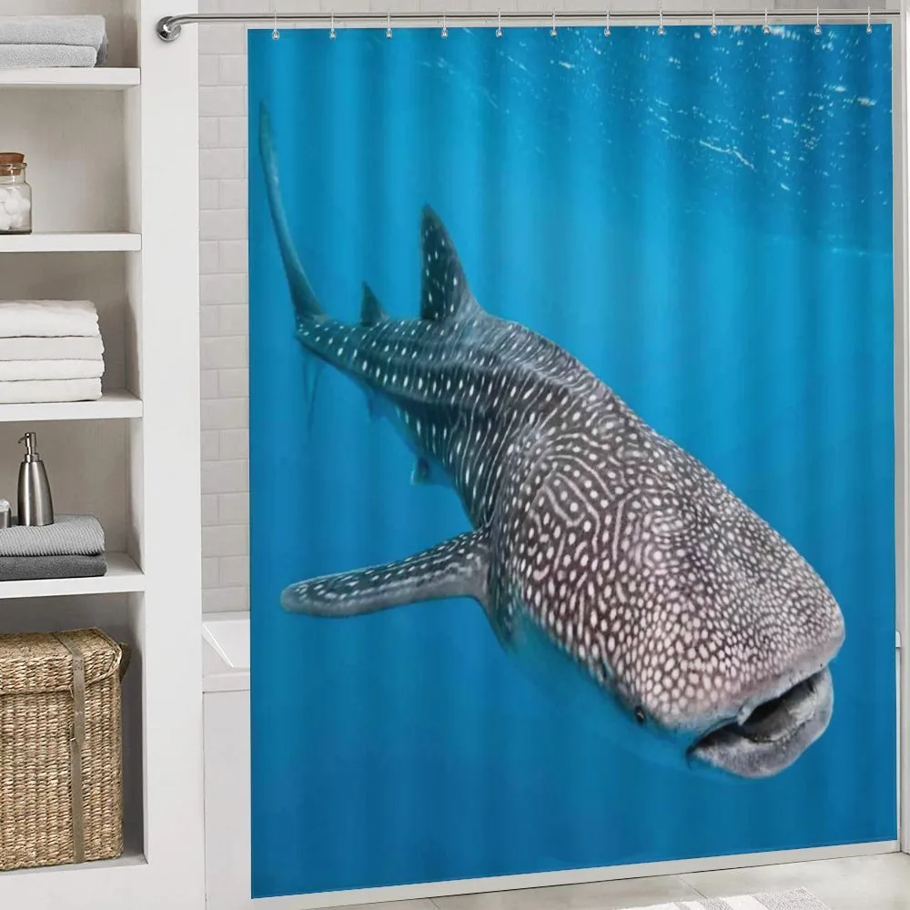 Swimming Whale Sea — Detail 4