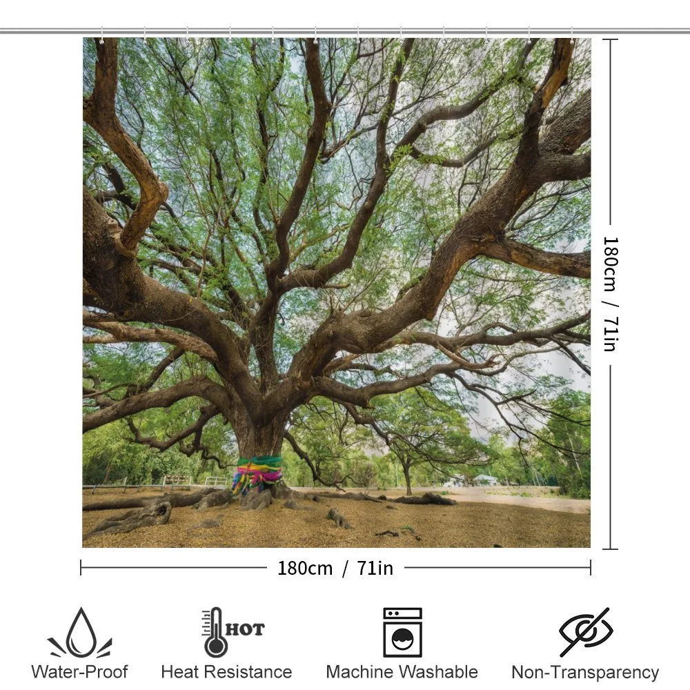 Big Rain Tree Thailand — Detail 2