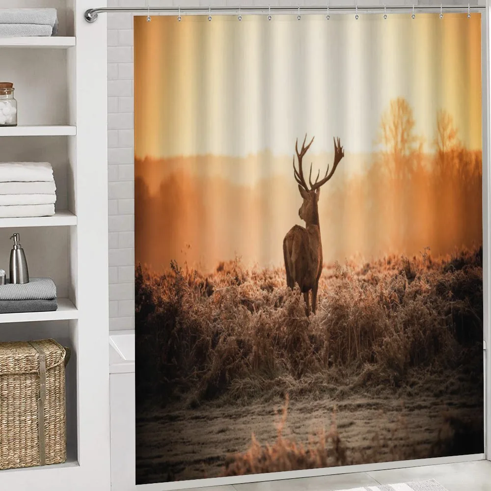 Deer Morning Sun — Detail 4